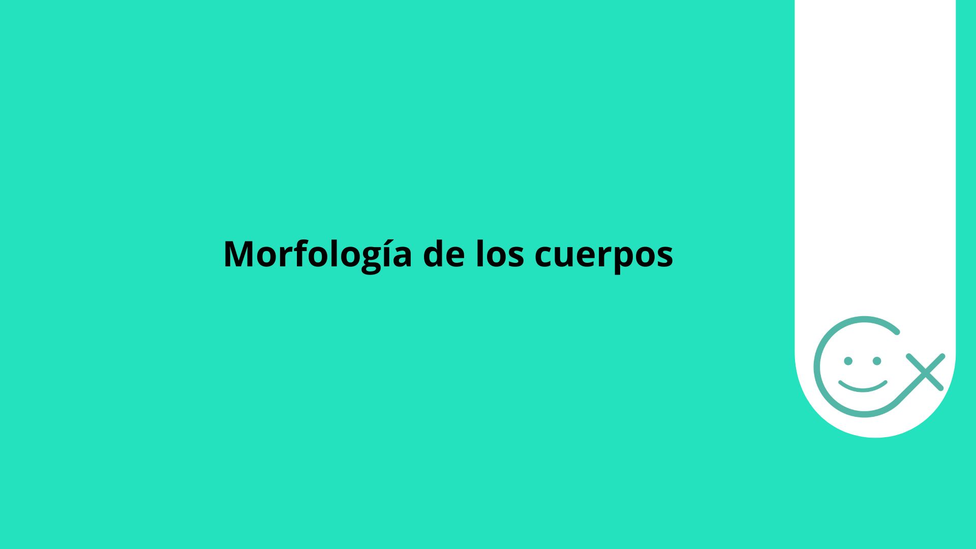Morfología de los cuerpos